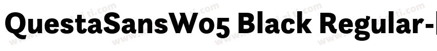 QuestaSansW05 Black Regular字体转换